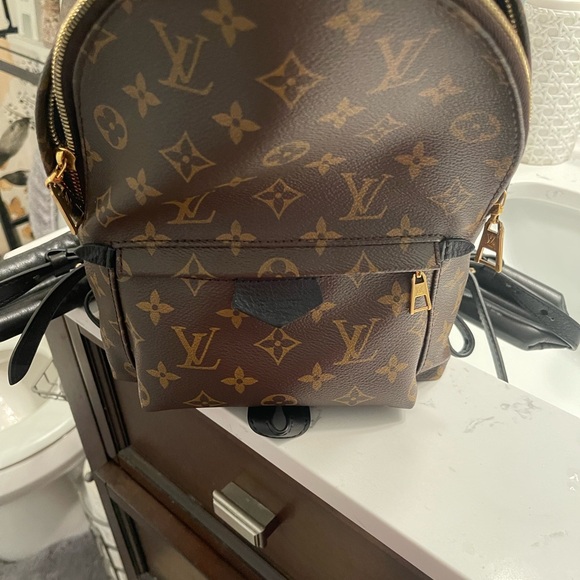 Louis Vuitton Palm Springs PM - Picture 6 of 8